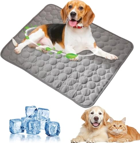 Xiangqianzou Kühlmatte für Hunde, 2025 Upgrade Große Kühlmatte aus Selbstkühlend Eisseide, Hundekühlmatte Kühl Betten Kaltgelpad Haustier Matte Kühlpads Gel für Katen Hunde 55x70cm Xiangqianzou Kühlmatte für Hunde, 2025 Upgrade Große Kühlmatte aus Selbstkühlend Eisseide, Hundekühlmatte Kühl Betten Kaltgelpad Haustier Matte Kühlpads Gel für Katen Hunde 55x70cm von Xiangqianzou