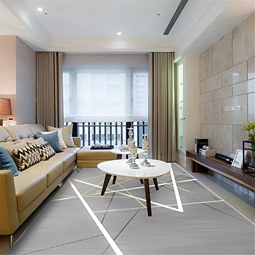 Xiaosua Baby Teppich Mädchen Grau Teppich Wohnzimmer Grau Minimalistisch Dünne Linie Moderner Teppich Strapazierfähig Esszimmer Teppich Kinder 50X80Cm Teppich Design 1Ft 7.7''X2Ft 7.5'' von Xiaosua