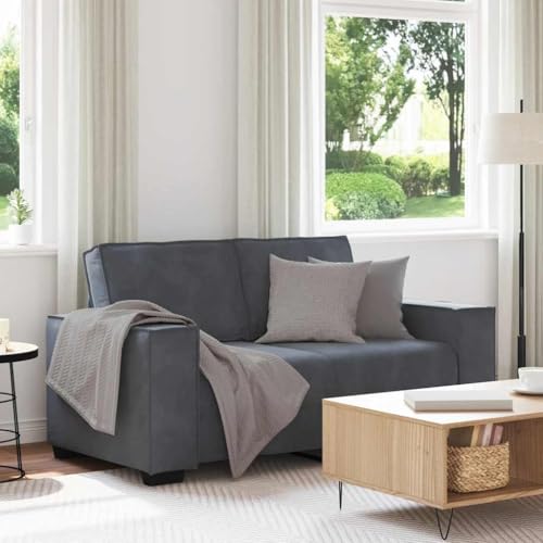 Xichuzi 2-Sitzer-Sofa Dunkelgrau 120 cm Samt, Loungesofa, Sofas & Couches, Relaxsofa, Couch für Wohnzimmer - 4105011 von Xichuzi