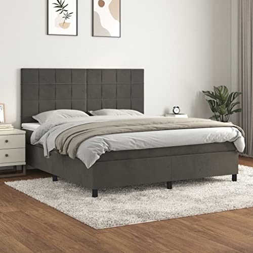 Xichuzi Boxspringbett mit Matratze Dunkelgrau 160x200 cm Samt, Bett, Bettgestell, Jugendbett, Schlafzimmer Bett, Bed Frame - 3143032 von Xichuzi
