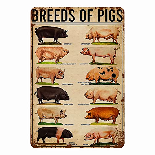 Xiddxu Metall-Poster-Schild Schweine-Rasse-Poster, lustiges Schweine-Poster, Metall-Poster-Plaketten für Zuhause, Wohnzimmer, Küche, Café, Bar, Wanddekoration, Blechschild, Metallschilder, Xiddxu Metall-Poster-Schild Schweine-Rasse-Poster, lustiges Schweine-Poster, Metall-Poster-Plaketten für Zuhause, Wohnzimmer, Küche, Café, Bar, Wanddekoration, Blechschild, Metallschilder, von Xiddxu