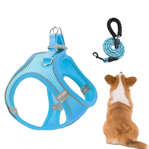 Xijobido Hundegeschirr Und Leinen Set - Einstellbares Geschirr für kleine bis mittelgroße Hunde mit Leinen,Atmungsaktives Ausbruchsicheres Geschirr Für Hunde Katzen Wandern Camping Ausflüge Training von Xijobido