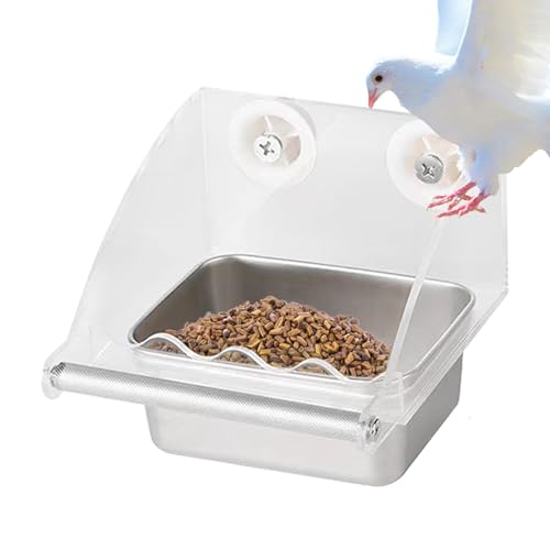 Xijobido Sittich Futterautomat | Transparenter Vogelfutterspender,Mit Rutschfester Sitzstange Und Edelstahl Tränke Für Kolibris Zuhause Balkon Terrasse Garten Xijobido Sittich Futterautomat | Transparenter Vogelfutterspender,Mit Rutschfester Sitzstange Und Edelstahl Tränke Für Kolibris Zuhause Balkon Terrasse Garten von Xijobido