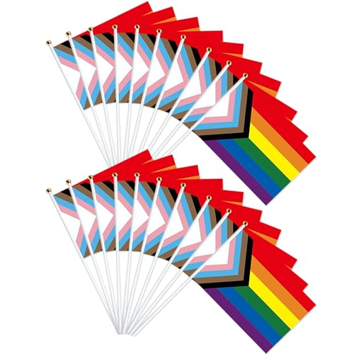 20 Stück LGBT Gay Pride Regenbogen-Flagge auf Stäbchen von Ximinwzm
