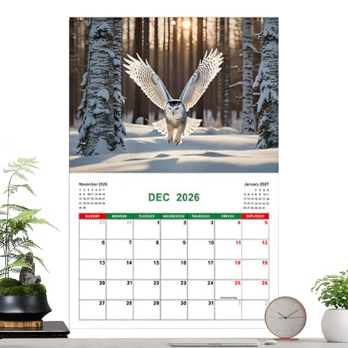Eulen Wandkalender 2026,Jahresplaner Kalender 2026 | Eulen-Motiv Für Zeitplanung In Büro, Schule Und Zuhause Eulen Wandkalender 2026,Jahresplaner Kalender 2026 | Eulen-Motiv Für Zeitplanung In Büro, Schule Und Zuhause von Xinhuju