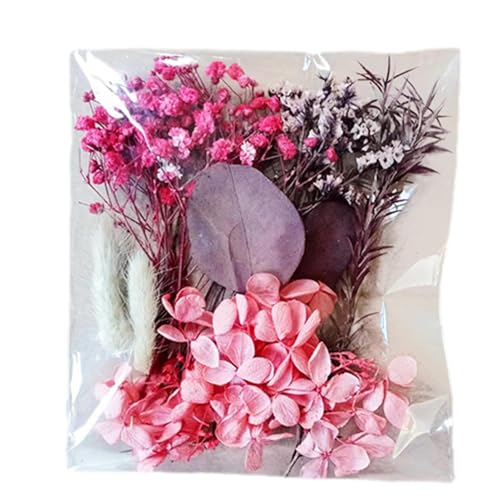 Trockenblumen – Deko-Blumen für Vasen, DIY-Blumenarrangements | Natürliche getrocknete Blumenblätter für Scrapbooking, Kunsthandwerk, Hochzeitstischdeko & kreative Gestaltung von Xinhuju