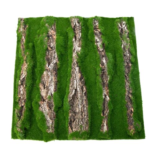 Xinhuju Reptilienkork Terrarium Hintergrund, Eidechsenlebensraumdekorationen Rinde Hintergrund | Reptilienrinde Hintergrundwanddekor für bärtige Drache, Chamäleon Lebensraumhintergrund Xinhuju Reptilienkork Terrarium Hintergrund, Eidechsenlebensraumdekorationen Rinde Hintergrund | Reptilienrinde Hintergrundwanddekor für bärtige Drache, Chamäleon Lebensraumhintergrund von Xinhuju