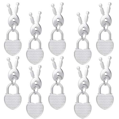 10 Stück Mini Vorhängeschloss Herzform Gepäckschlösser Liebesschloss mit Schlüssel Silber Kleine Schlösser Kofferschloss für Reisekoffer Schmuckkästchen Tagebuch Schublade Gepäck von Xinjoduz