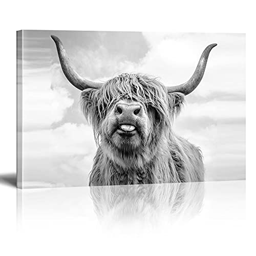 Xinmei Art Leinwand Wandkunst Schwarz-Weiß Highland Kuh Bilder Longhorn Cattle Wandmalerei Drucke Zeitgenössische Kunstwerke Bauernhaus Dekor 70x100cm (28x39in) Innenrahmen von Xinmei Art