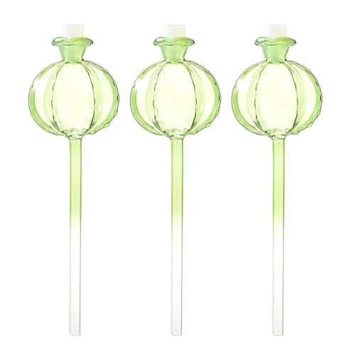 Xinsheinelry Glasanlagen Wasserveranstaltung Gerät Granatapfel Selbstbewässerungsplanter Einsetzen Sie Glas Automatische Pflanzenwasserer Für Garten Xinsheinelry Glasanlagen Wasserveranstaltung Gerät Granatapfel Selbstbewässerungsplanter Einsetzen Sie Glas Automatische Pflanzenwasserer Für Garten von Xinsheinelry