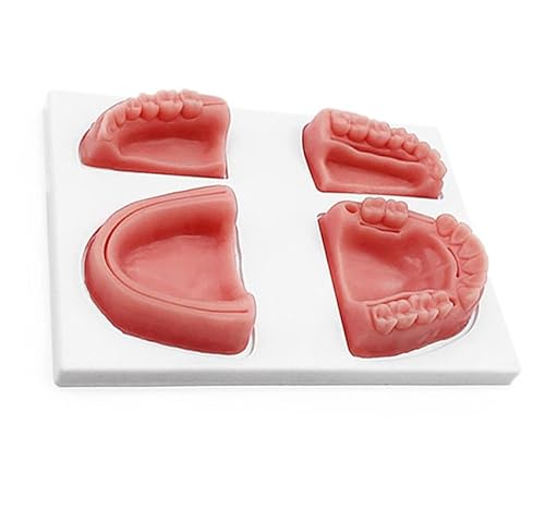 Gum Multiple Wound Silicone Suture Training Mold Four-tooth Module, Oral Surgery Training Module, Suitable For Practitioners To Practice Surgical Cutting, Suturing, Knotting And Other Techniques Gum Multiple Wound Silicone Suture Training Mold Four-tooth Module, Oral Surgery Training Module, Suitable For Practitioners To Practice Surgical Cutting, Suturing, Knotting And Other Techniques von Xinzhai