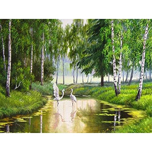 5D Diamond Painting,Diamond Painting Set,Birkenwald Round Vollbohr Kristall stickerei Kreuzstich,Malen nach Zahlen Diamant,Diamant Painting Bilder Arts Craft für Home Wand Decor 25x30cm 10x12in von Xiooger