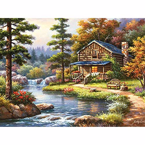 5D Diamond Painting,Diamond Painting Set,Natur Landschaft Square Vollbohr Kristall stickerei Kreuzstich,Malen nach Zahlen Diamant,Diamant Painting Bilder Arts Craft für Home Wand Decor 40x50cm 16x20in von Xiooger