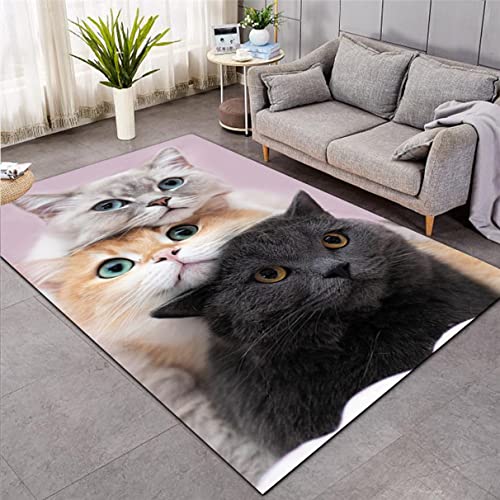 3D Süßes Kätzchen Teppich Küche Badezimmer Eingangstür Matte Schwarz Weiß Orange Katze Muster Carpet Wohnzimmer Wohnkultur Junge Mädchen Kinder Schlafzimmer Rutschfester Rug (Muster 1,100x150 cm) von Xisnuient