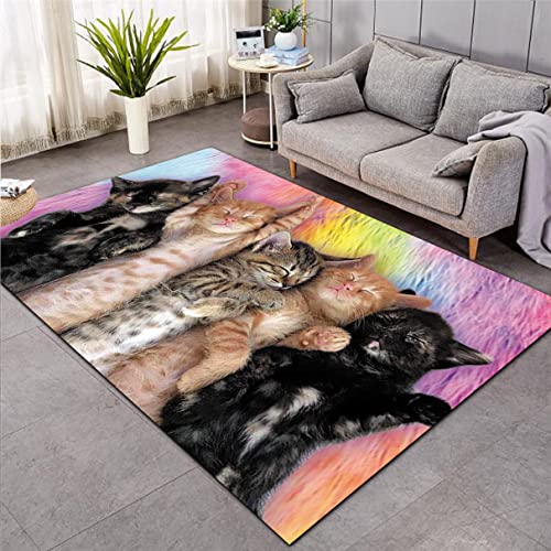 3D Süßes Kätzchen Teppich Küche Badezimmer Eingangstür Matte Schwarz Weiß Orange Katze Muster Carpet Wohnzimmer Wohnkultur Junge Mädchen Kinder Schlafzimmer Rutschfester Rug (Muster 2,120x180 cm) von Xisnuient