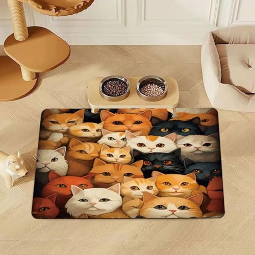 Futtermatte für Haustiere, Tischset für Katzen Hunde,Pet Teppich,Spritzwassergeschützt,Saugfähig,Leicht zu Reinigen,Waschbar,Kieselgur,Wassernapfmatte für Cat Dog (Muster 3,40x60 cm) von Xisnuient