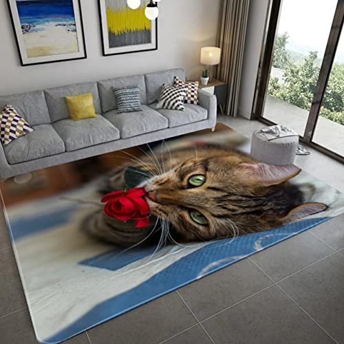 Xisnuient Teppiche für Wohnzimmer Flanell Memory Schaum Teppiche Teenager Junge Mädchen Schlafzimmer Dekoration Kinderzimmer Spielmatte,3D Rose Weltraum Haustier Katze Muster (Braun,80x120 cm) von Xisnuient