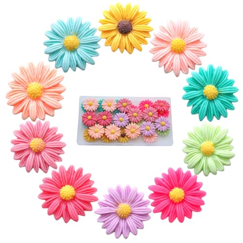Xiufortion Extra große Gänseblümchen aus Kunstharz mit Aufbewahrungsboxen, Durchmesser 2,5 cm, für Bastelarbeiten, Heimdekoration, handgefertigt (10 Farben gemischt) von Xiufortion