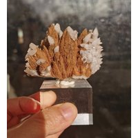 119G Calcite & Pyrite Coexist in Daye, Hubei von XixiStoneGarden