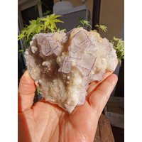 362G Fluorite With Purple Edges Intergrown Quartz From Guizhou, China von XixiStoneGarden