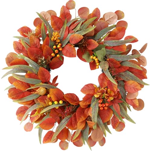 Xiyocadt 60 cm Herbst Kranz Haustür, Herbstdeko Tür mit Herbstlaub Beeren, Kranz für Halloween Thanksgiving Wandschmuck von Xiyocadt