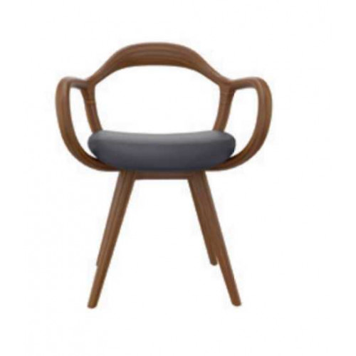 Stühle Wohnzimmer Esszimmer Lehnstuhl Holzstuhl mit Armlehne Esszimmer Möbel Stühle Wohnzimmer Esszimmer Lehnstuhl Holzstuhl mit Armlehne Esszimmer Möbel von Xl Moebel