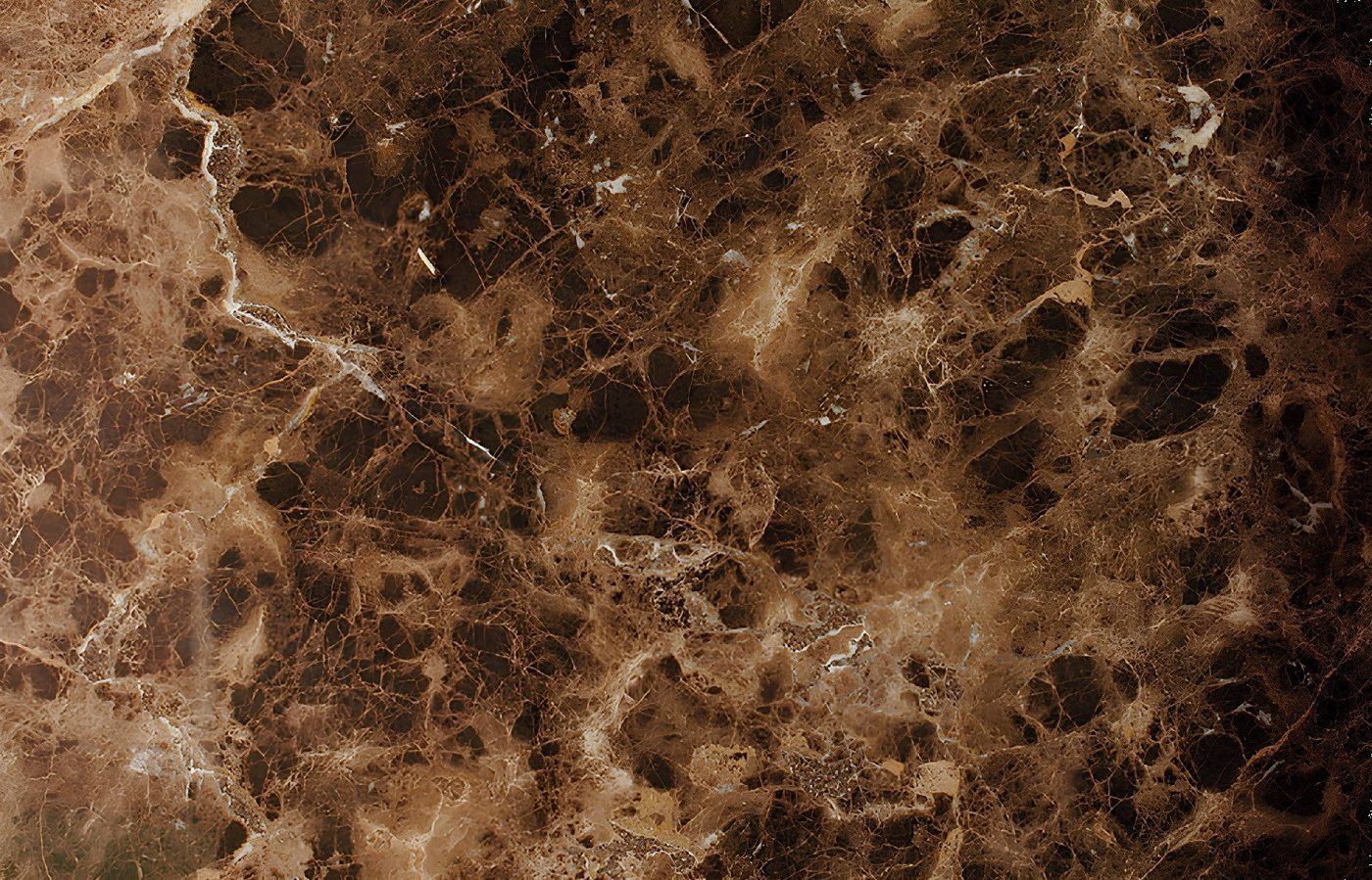 Xlmoebel Bodenfliese Dunkler Emperador Marmor Bodenfliesen Naturstein Fliesenbela 20m², Marmor, CREMA MARFIL, Marmor DARK EMBERADOR 40x60 cm 20m², Hergestellt in Europa Xlmoebel Bodenfliese Dunkler Emperador Marmor Bodenfliesen Naturstein Fliesenbela 20m², Marmor, CREMA MARFIL, Marmor DARK EMBERADOR 40x60 cm 20m², Hergestellt in Europa von Xlmoebel