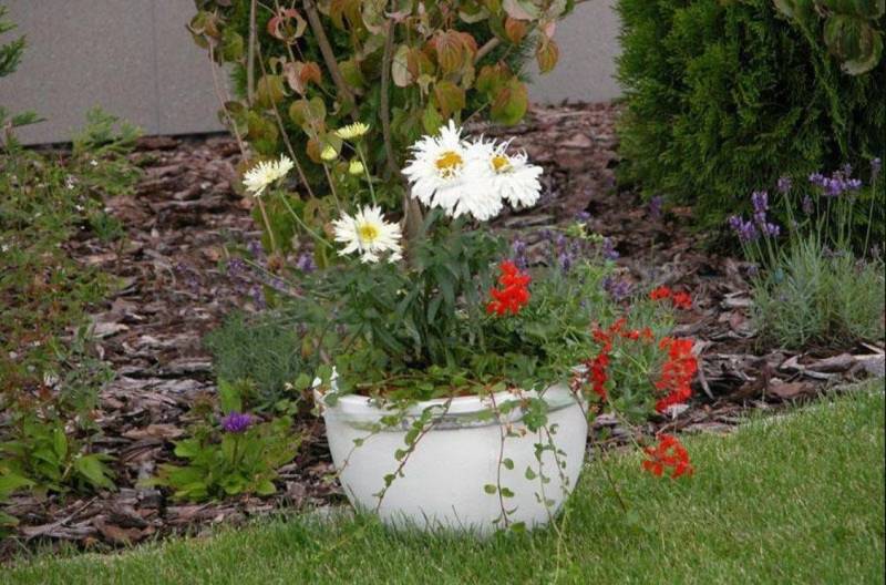 Xlmoebel Pflanzkübel Blumenkorb Blumen Vase Gefäss Garten Terrasse Dekoration Statue (Pflanzkübel), Hergestellt in Europa von Xlmoebel