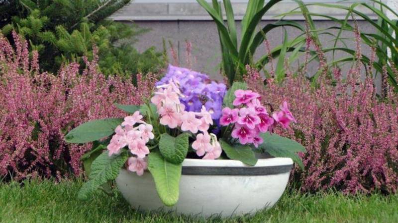 Xlmoebel Pflanzkübel Blumenkorb Blumen Vase Gefäss Garten Terrasse Dekoration Statue (Pflanzkübel), Hergestellt in Europa von Xlmoebel