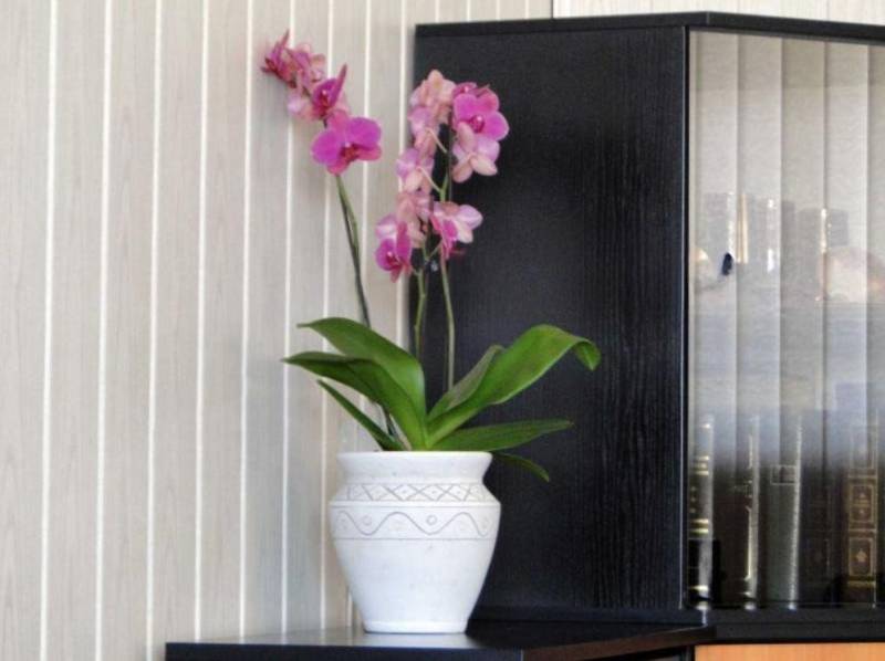 Xlmoebel Pflanzkübel Blumenkorb Blumen Vase Gefäss Garten Terrasse Dekoration Statue (Pflanzkübel), Hergestellt in Europa von Xlmoebel