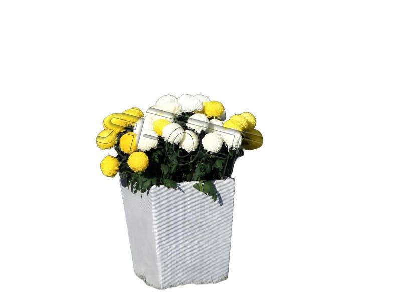 Xlmoebel Pflanzkübel Blumenkübel Topf Deko Figur Pflanzgefäß Garten Vase 204058 (Artikel s204058), Hergestellt in Europa von Xlmoebel