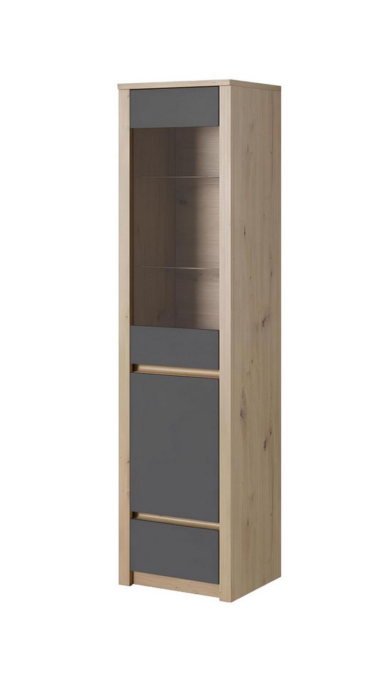 Xlmoebel Vitrine Vitrinenregal aus Holz für das Wohnzimmer - eleganter Schrank (1-St., Vitrine) Hergestellt in Europa von Xlmoebel