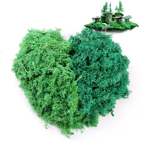 Xmart 200g Moosbild Natürlich Moos 2 Farben Islandmoos zum Basteln Wiederverwendbar Künstliches Moos DIY Handmodellbau Deko Kunstmoos für Krippe (Dunkelgrün 100g + Hellgrün 100g) von Xmart