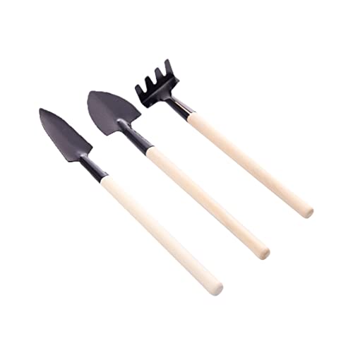 3 PCs Gartenwerkzeuge Set Mini Gardening Kit rostresistente Eisenwerkzeuge Modell am besten für Topfpflanzen (Spade+Schaufel+Rake) von Xoeryoy