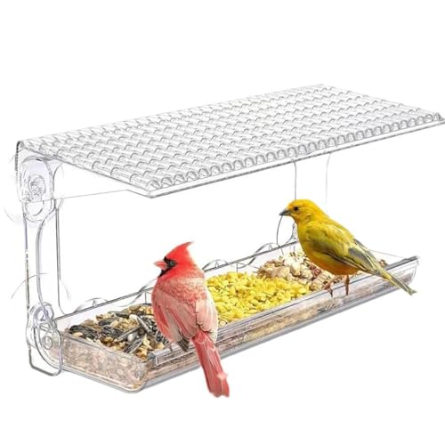 Xoeryoy Fenstervogelfutterhäuschungen mit starken Saugnäpftassen 480 ml Fenster Vogelhäuschen mit abnehmbaren Fütterungsschalen und Wasserfachfuttermittel mit Entwässerungslöchern für die klare Ans Xoeryoy Fenstervogelfutterhäuschungen mit starken Saugnäpftassen 480 ml Fenster Vogelhäuschen mit abnehmbaren Fütterungsschalen und Wasserfachfuttermittel mit Entwässerungslöchern für die klare Ans von Xoeryoy