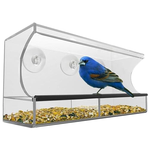 Xoeryoy Fenstervogelfutterhäuschchen mit starken Saugnäpfeln 12x4x5in Acryl Clear Vogelfutter für Fenster für die leicht zu blockierte Vogelhaus-Feeder # Xoeryoy Fenstervogelfutterhäuschchen mit starken Saugnäpfeln 12x4x5in Acryl Clear Vogelfutter für Fenster für die leicht zu blockierte Vogelhaus-Feeder # von Xoeryoy