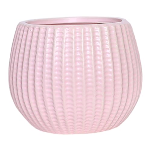 Xoeryoy Keramiktöpfe für Pflanzen, 4 dekorative Innenpflanzentopf Nordic Style Pflanzer für Innenpflanzen Sukkulente Heimdekoration Xoeryoy Keramiktöpfe für Pflanzen, 4 dekorative Innenpflanzentopf Nordic Style Pflanzer für Innenpflanzen Sukkulente Heimdekoration von Xoeryoy