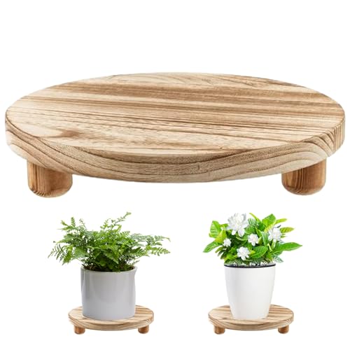 Xoeryoy Pflanzenstreifer 10 runde Holzsteiger Kleiner Pflanzenständer Innenblumentopfhalter Pflanzer Stand Tablett Dekorative Holzkuchenständer Sockel für Garten Desktop Display# von Xoeryoy