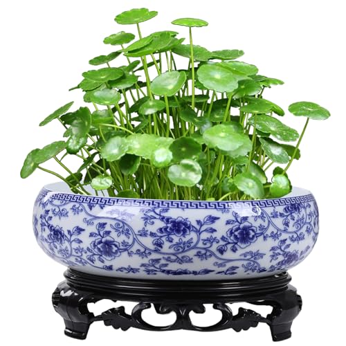 Xoeryoy Schüssel Pflanzer 6-7 chinesisches Blumenmuster Keramikhydroponischer Pflanzer mit Exquisites und rustikaler Pflanzentopf für Lotus, Wasserlilie, Sukkulent. von Xoeryoy