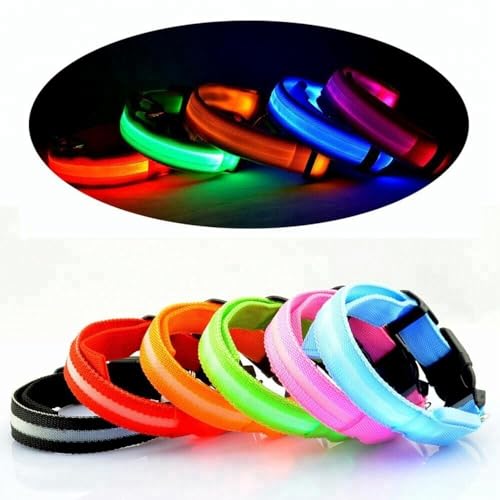 Hunde LEUCHTHALSBAND LED Halsband IN 7 Farben FARBIGEM Band AUFLADBAR PER USB (XL, Gelb) von Xonic