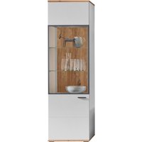 XORA Vitrine BAMEOS, Holznachbildung von Xora