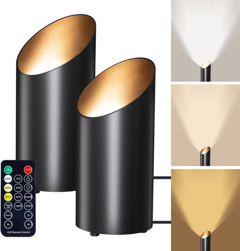 Xruiy LED Stehlampe dimmbar mit Fernbedienung, 3 Farbtemperaturen, Aluminium Design, , energiesparend, ideal für Wohnzimmer, Pflanzen & Wanddeko von Xruiy