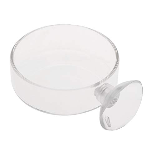 Garnelen-Futternapf mit Saugnapf, klare Glasschalen, 6,1 x 1,8 cm, rundes Tablett, Fisch für Aquarium, Fisch-Futterstation, Futterschale, Garnelen-Futternapf und Schlauch mit Saugnapf, Blatt und Garnelen-Futternapf mit Saugnapf, klare Glasschalen, 6,1 x 1,8 cm, rundes Tablett, Fisch für Aquarium, Fisch-Futterstation, Futterschale, Garnelen-Futternapf und Schlauch mit Saugnapf, Blatt und von XuQiZZpp