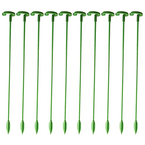 Rods 10 Stück Garten-Bonsai-Halterungen, Einzelstiel, Strauchhalter für den Innen- und Außenbereich, Garten, Blumentopfstab von XuQiZZpp