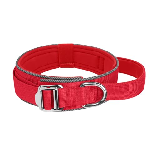 XuQiZZpp Lichtreflektierendes Haustierhalsband, verstellbar, für nächtliche Spaziergänge, breites Hundehalsband mit Metallschnalle XuQiZZpp Lichtreflektierendes Haustierhalsband, verstellbar, für nächtliche Spaziergänge, breites Hundehalsband mit Metallschnalle von XuQiZZpp