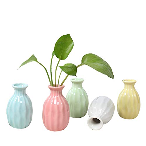 XuanMax 5er Set Mini Blumenvasen Handgemachte Keramikvase Dekorative Vase Porzellan für Wohnzimmer Schlafzimmer Tisch Zuhause Büro Hochzeit Dekoration oder als Geschenk (Blumen Nicht Enthalten) von XuanMax