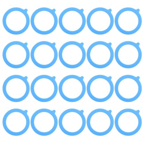 20 Stück auslaufsichere Dichtungsringe für Glasgläser, Silikon-Ersatzdichtungen für Glas-Clip-Top-Gläser von Xuancai