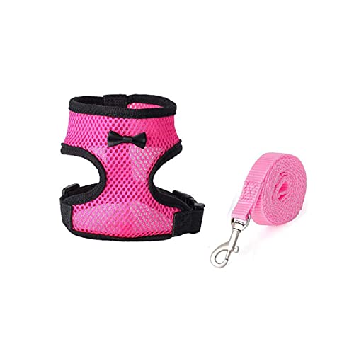 Hühner-Geschirr mit Leine, verstellbar, bequem, für kleines Haustiergeschirr, Leine, Set für Enten-Training, Spaziergänge, Huhn und für Hühner, Größe S und L Hühner-Geschirr mit Leine, verstellbar, bequem, für kleines Haustiergeschirr, Leine, Set für Enten-Training, Spaziergänge, Huhn und für Hühner, Größe S und L von Xuancai