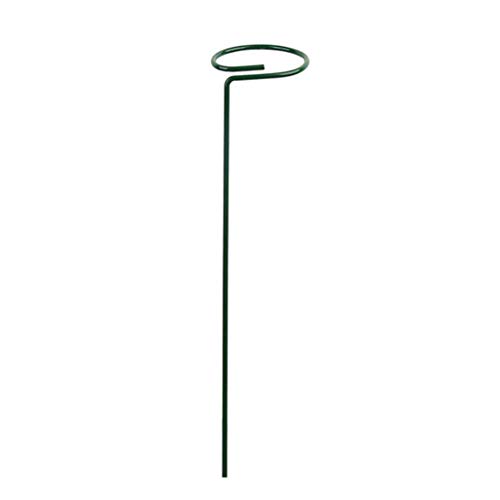 Pflanzenstecker Schmiedeeiserne Ringe Einzelstiel Strauchhalter Gartenstützpfähle für drinnen und draußen, Garten, Hof, Befestigung von Pflanzenstützen für Topfpflanzen, Innenbereich, Bambus von Xuancai