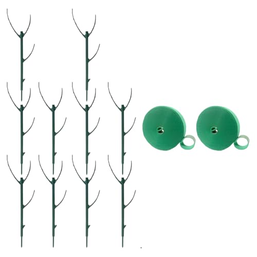 Verstellbarer Kletterpflanzenstecker für den Innenbereich, klein, für Topfpflanzen, Garten, Stütze für den Außenbereich, stapelbar, Monstera-Pflanzenstütze von Xuancai